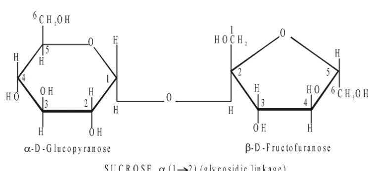 Sugar Part in Carbohydrates